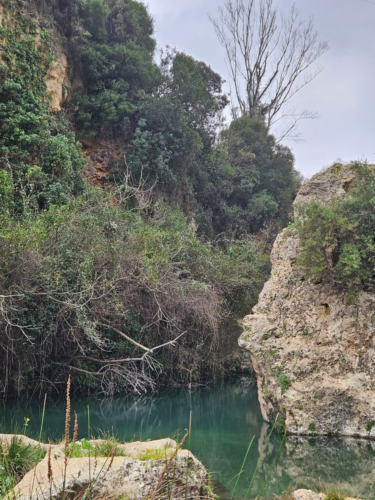 Foto de la ruta